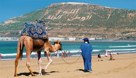 السياحة في المغرب انكماش طويل الأمد وخطة بديلة بلا جدوى نون بوست
