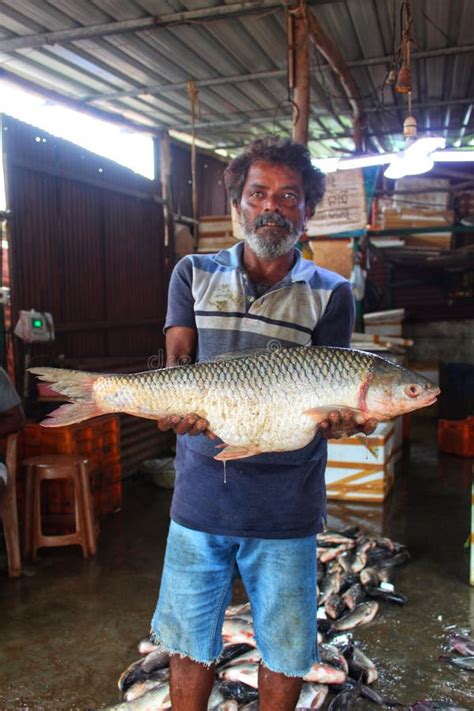 A Man Holding A Big Giant Grass Carp Fish In Hand Hd Editorial Image