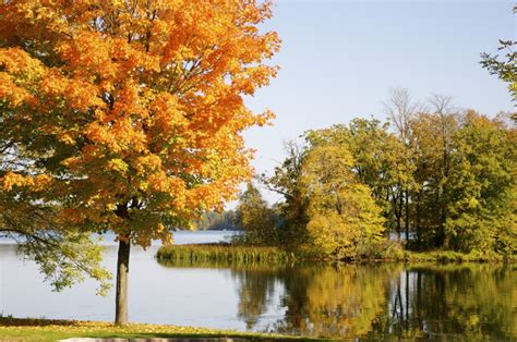 Where To See Northern Wisconsin Fall Colors Rice Lake Tourism