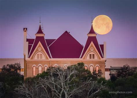 Moonlit Beauty At Texas State University