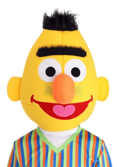 Adult Sesame Street Bert Costume