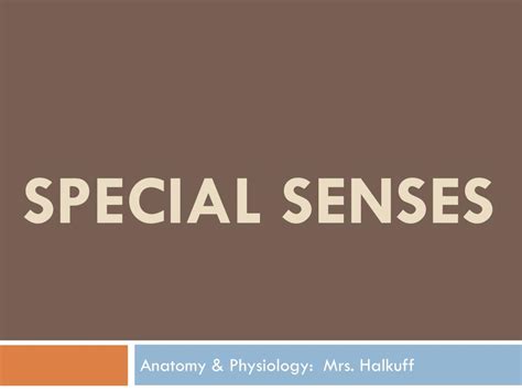 Ppt Special Senses Powerpoint Presentation Free Download Id2479197
