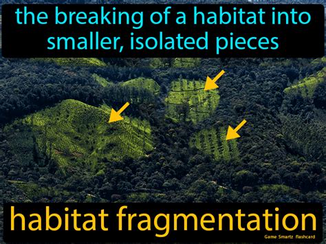 Habitat Fragmentation Easy Science Easy Science Science Memes