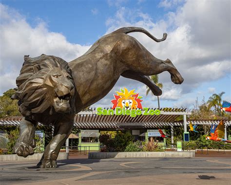Deal San Diego Zoo And Safari Park Save Over 15 Certifikid
