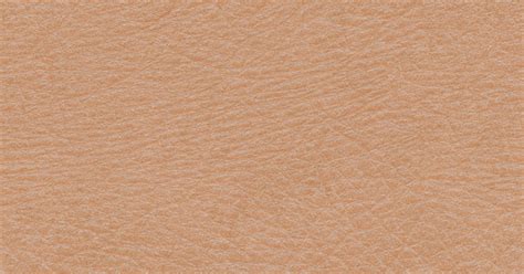 High Resolution Seamless Textures Human Skin Texture