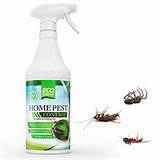 Images of Home Pest Control Organic