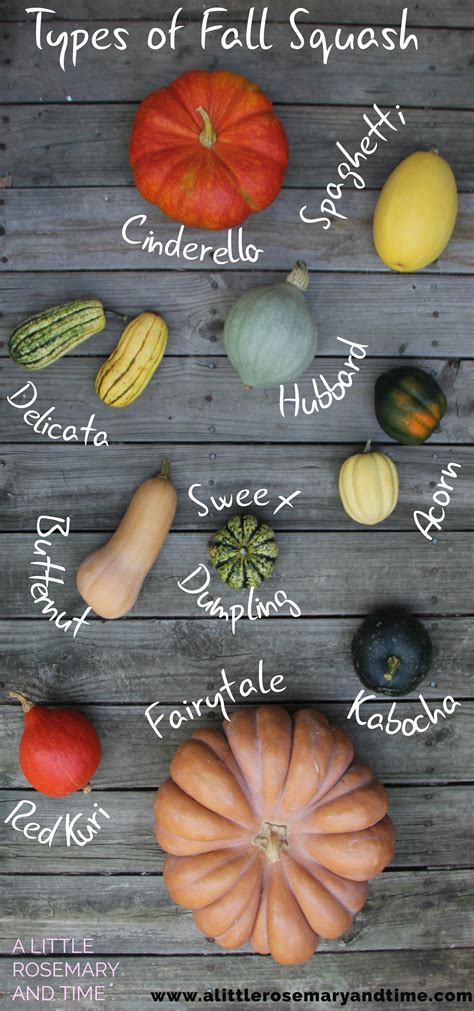 Types Of Fall Squash And How To Use Them A Little Rosemary And Time