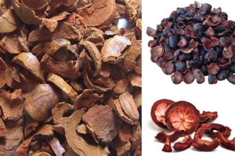 Obat tradisional gagal ginjal kronis yang alami dan aman. 7 Khasiat Kulit Manggis Untuk Kesehatan - Masandy.com