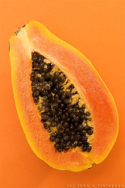 118 Papaya By John Finlayson Fruit Papaya For Skin Orange Aesthetic