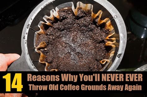 How long will my coffee stay fresh? 14 Genius Ways To Recycle Used Coffee Grounds | Ready Nutrition Official Website - Healthy ...