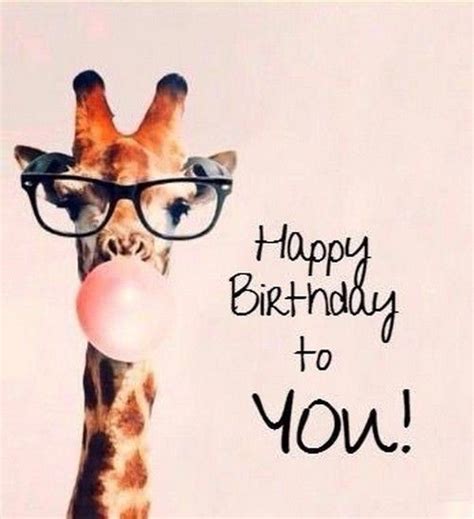 Pin By Tracy Allen Lyman On Palmer Parties Giraffe Happy Birthday