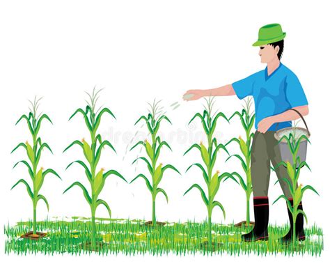 Crop Clipart