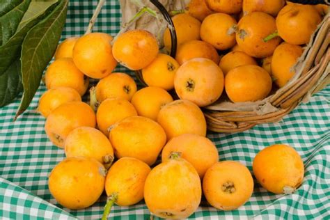 What Does Loquat Taste Like An Easy Guide Food Champs