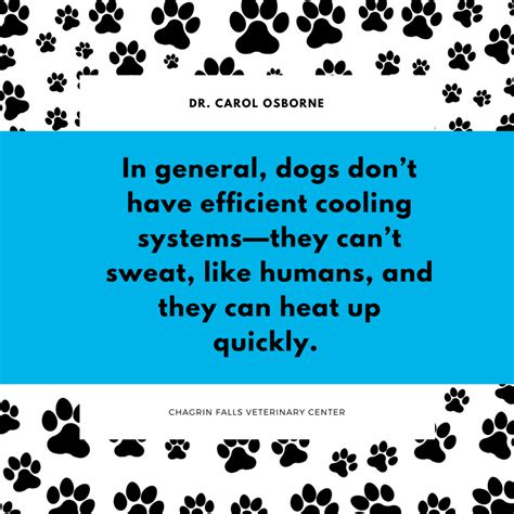 Jun 06, 2021 · this week’s scorching temperatures puts dogs at high risk of heat prostration and death, so peta is issuing an urgent warning to anyone with a dog: Warning Signs Your Dog Is Suffering from Heat Stroke ...