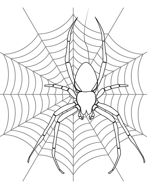 Desenho De Aranha Para Colorir