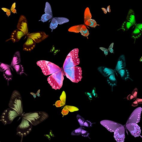 Colorful Butterflies Forum Avatar Profile Photo Id 90641 Avatar