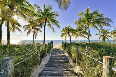 Smathers Seaside Living West Florida Key West Landscape Art Palm Trees Sunrise Sidewalk