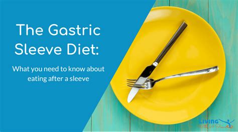 The Gastric Sleeve Diet What You Need To Know About Eating After A