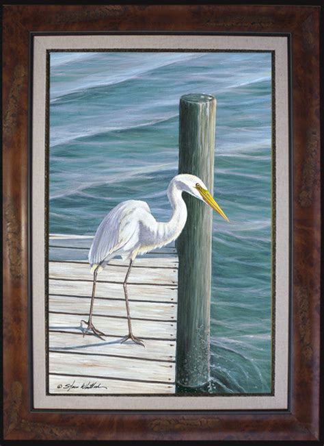 Fine Art American Egret On Dock Steve Whitlock Game Fish Art