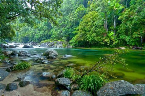 The Worlds 12 Most Beautiful Rainforests Part 1 Forests Of The World