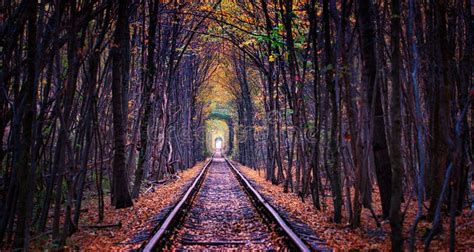 A Railroad Journey Through An Autumn Forest Stock Image Image Of