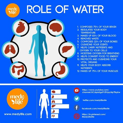 The Amazing Benefits Of Drinking Water Medy Life Benefits Of Drinking Water Health Nutrient