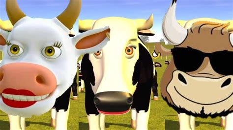 la vaca lola tripple compilación de diferentes cabezas de vaca divertidas youtube