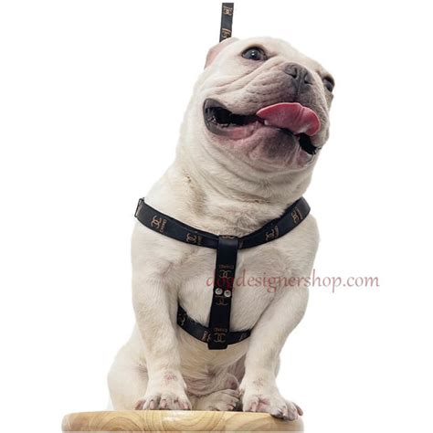 Supreme Dog Harness Supreme Lv No Pull Dog Harness Leashes New 2021