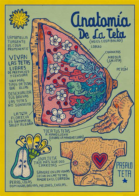 Anatomía De La Teta De Asis Percales · La Pecera Mercado De Arte