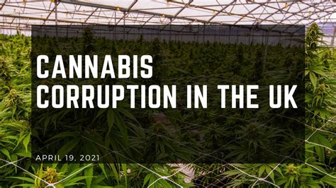 Cannabis Corruption In The Uk Herbaleyes