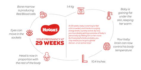 29 Weeks Pregnant Symptoms Tips And Advice Huggies My