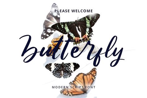Butterfly Modern Script Font Design Template Place