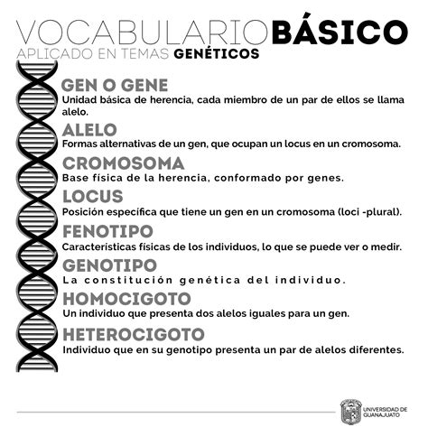 Vocabulario Gen Tico Repositorio De Objetos De Aprendizaje Ug