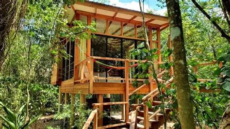 Top 5 Hotels And Resorts With Treehouses In Belize