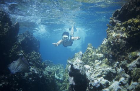 8 Spots For The Best Snorkeling In The Caribbean Ieyenews