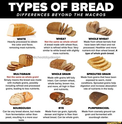 types of bread differences beyond the macros white whole wheat heavily processed to obtain not