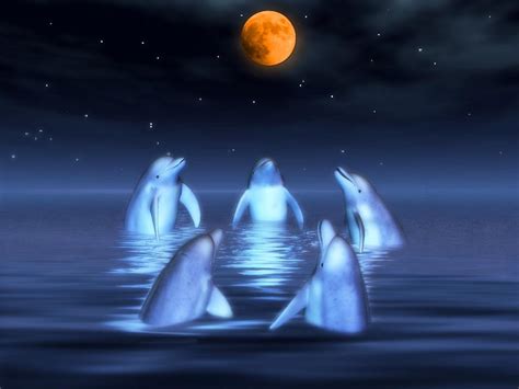 Fond décran mignon slime qui bouge pour android. Les Dauphins notre passion o - Page 6