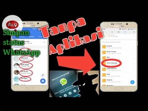 Di indonesia sendiri, aplikasi ini menduduki peringkat teratas. CARA MENYIMPAN STATUS WHATSAPP TANPA APLIKASI TAMBAHAN ...