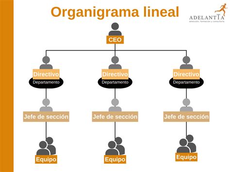 Organigrama Organigrama Estructura Organizativa Taller Negocio Empresa