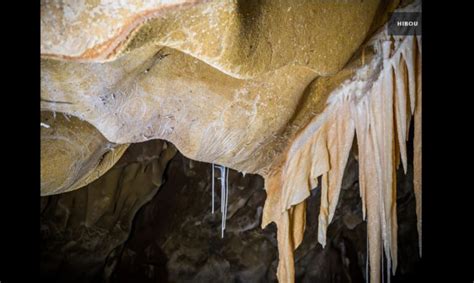 A scientific and artistic restitution. La Grotte Chauvet - Mas de la Fontenette
