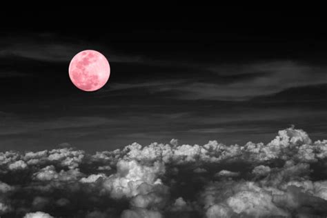 Free Pink Moon Images Pictures And Royalty Free Stock Photos