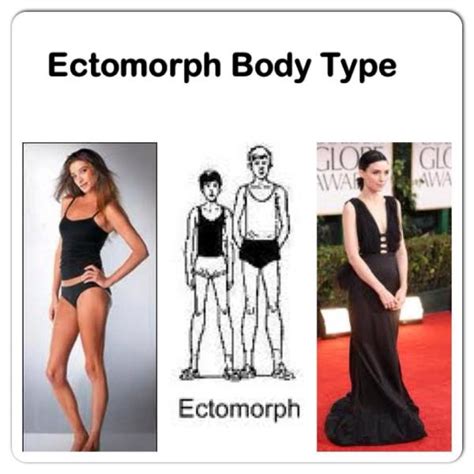 Train Right For Your Body Type The Healthy Home Economist