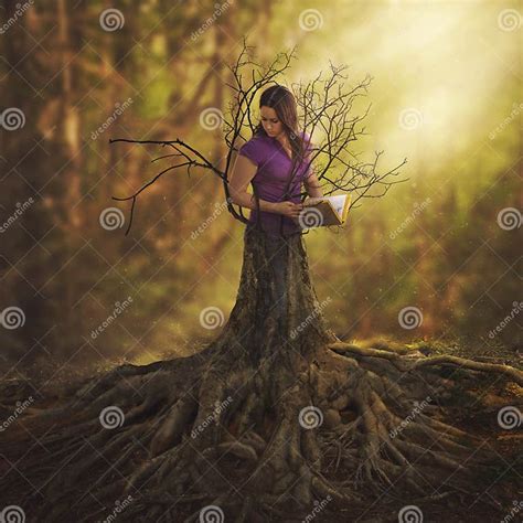 Turning Into A Tree Stock Photo Image Of Beam Concept 69261214