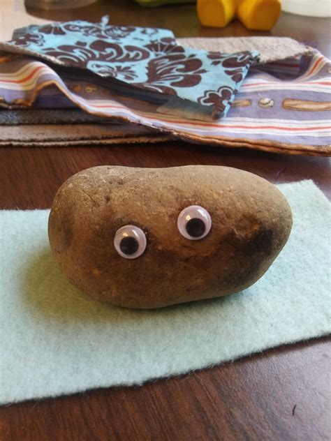 New Friend My First Pet Rock In Years Any Name Suggestions Rpetrocks