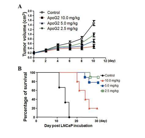Apogossypolone Inhibits The Proliferation Of LNCaP Cells In Vitro And