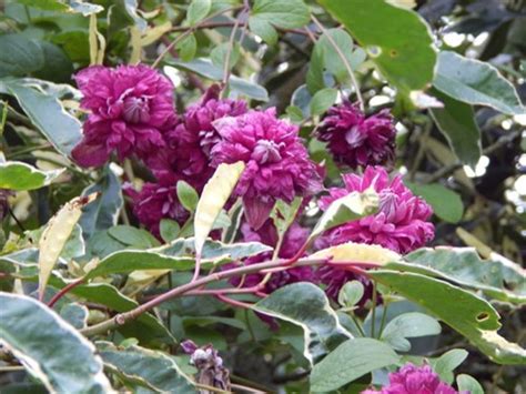 We did not find results for: Cilgwyn Lodge - A disappointing August brings an almost ...