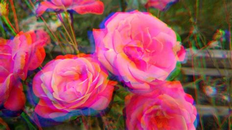 Psychedelic Rose By Alicehl Rose Rose Thorns Psychedelic