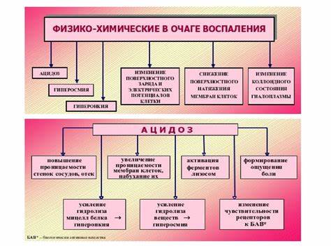 Острое воспаление холецистита диета Воспаление. Острое воспаление - online presentation Воспаление. Острое воспаление - online presentation Острое воспаление холецистита диета