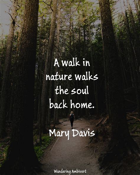 A walk in nature | Travel quotes adventure, Walking in nature ...