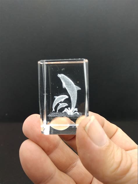 3d Laser Etched Glass Paperweight Featuring A Larger Dolphin Etsy